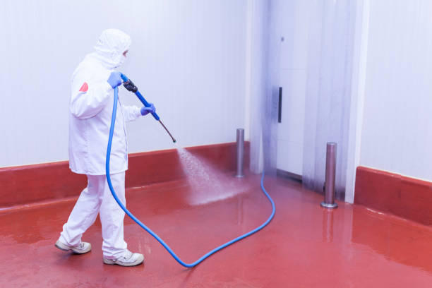 Reliable Covington, KY Pressure Washing Solutions